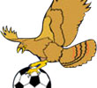 Eagles Topple The Wrens